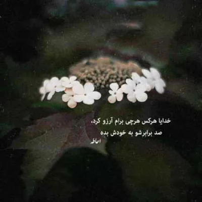 دانلود آهنگ بیا جلو دستاتو بگیرم من تو بغلت شب ماهو ببینم هومان