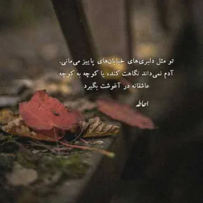 دانلود آهنگ اندامی ایزابلا فیسی وار سیندرلا فرزاد سمیعی
