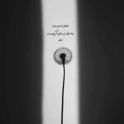 دانلود آهنگ همه دخترا ایول گل پسرا ایول فاضل رستمی