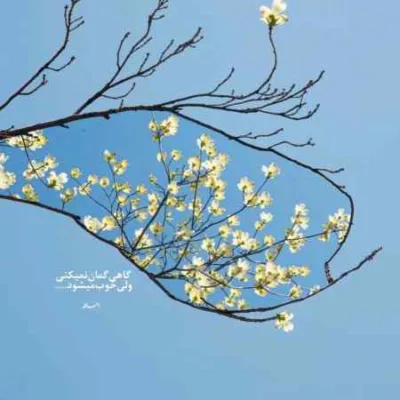 دانلود آهنگ دخترون شهر شیراز حسن شجاعی