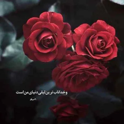 دانلود آهنگ کف تهرونم ولی غریبم بس که دادن هی منو فریبم معین زد دانلود آهنگ کف تهرونم ولی غریبم بس که دادن هی منو فریبم معین زد