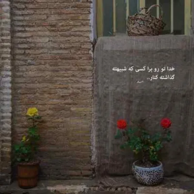 دانلود آهنگ عو عی عا محسن لرستانی