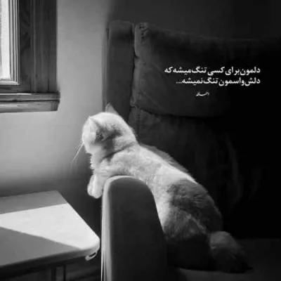 دانلود آهنگ نصرالله دهدشتی ماه گلی