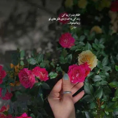 دانلود آهنگ  پزتو هی میدم پیش همه هوش مصنوعی