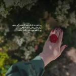 دانلود آهنگ سعید شایسته شب زمستونی سرد دانلود آهنگ سعید شایسته شب زمستونی سرد