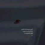 دانلود آهنگ دیدی آخرش هم نشدم حریفت سجاد فراست دانلود آهنگ دیدی آخرش هم نشدم حریفت سجاد فراست