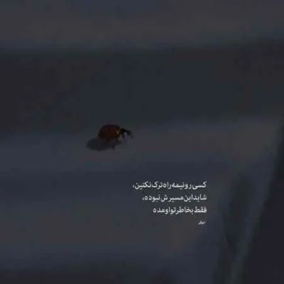 دانلود آهنگ  دیدی آخرش هم نشدم حریفت سجاد فراست