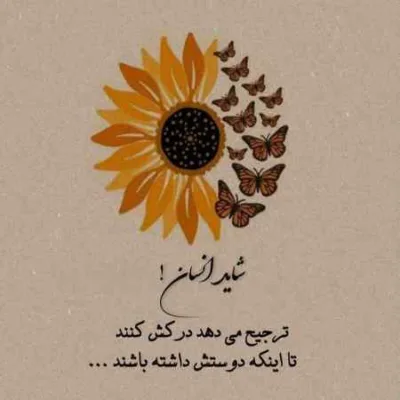 دانلود آهنگ بودی تو یه عمری توی این سینه گرفتار شاهرخ