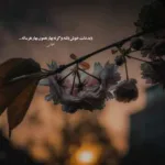 دانلود آهنگ کاری نداره برام برم کاری نداره بگات بدم شایع دانلود آهنگ کاری نداره برام برم کاری نداره بگات بدم شایع