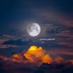 دانلود آهنگ سیامک عباسی برم یا بمونم