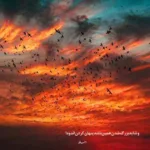 دانلود آهنگ یه ریزه دو ریزه دلم داره میریزه شهرام صولتی دانلود آهنگ یه ریزه دو ریزه دلم داره میریزه شهرام صولتی