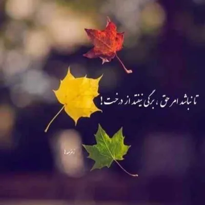 دانلود آهنگ  ابد و یک روز منی یه تیکه از روح منی هوش مصنوعی