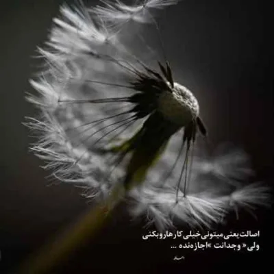 دانلود آهنگ علی سورنا دوچرخه