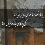 دانلود آهنگ علی زندوکیلی شگرد دانلود آهنگ علی زندوکیلی شگرد