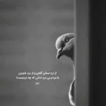 دانلود آهنگ باید لاغر کنم باورامو باور کنم پاپابویز دانلود آهنگ باید لاغر کنم باورامو باور کنم پاپابویز