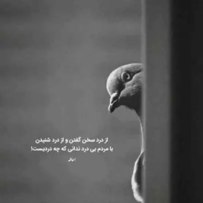 دانلود آهنگ باید لاغر کنم باورامو باور کنم پاپابویز دانلود آهنگ باید لاغر کنم باورامو باور کنم پاپابویز