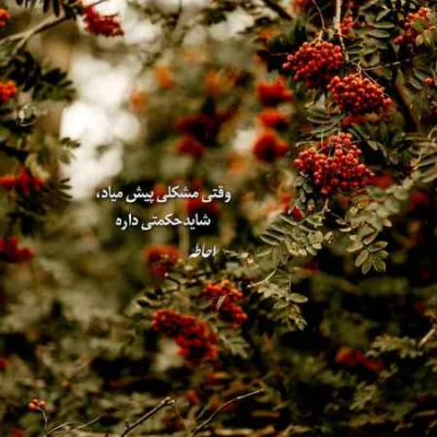دانلود آهنگ به دنیا نمیدهم تورا نمیرسی چرا علیرضا پوراستاد
