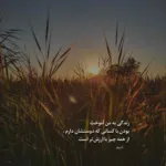 دانلود آهنگ بگو دیگه چرا پرواز نمیکنی تو که زیباترین پروانه ای د دان دانلود آهنگ بگو دیگه چرا پرواز نمیکنی تو که زیباترین پروانه ای د دان