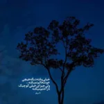دانلود آهنگ چشامو بستی رو همه شدی همون که جونمه اصف اریا دانلود آهنگ چشامو بستی رو همه شدی همون که جونمه اصف اریا