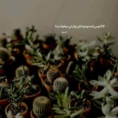 دانلود آهنگ امشب به قلبم شبیخون زدی پیام صالحی