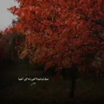دانلود آهنگ فرزاد فرخ دختر صحرا دانلود آهنگ فرزاد فرخ دختر صحرا