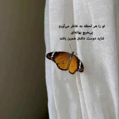 دانلود آهنگ گشتم نبود مثل تو نگرد اصلا نیست هوش مصنوعی دانلود آهنگ گشتم نبود مثل تو نگرد اصلا نیست هوش مصنوعی