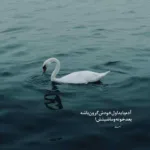 دانلود آهنگ حاجی قدو ببین یا خدا دیانو دانلود آهنگ حاجی قدو ببین یا خدا دیانو