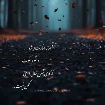 دانلود آهنگ پیچک حامیم علی سورنا بهرام امیر تتلو