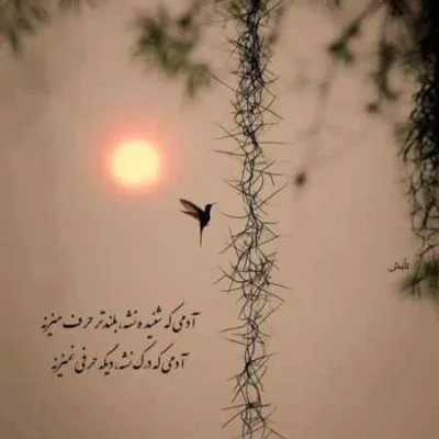 دانلود آهنگ هرچی این که خونه نداشت عطر تو بس بود واسه من تتلو