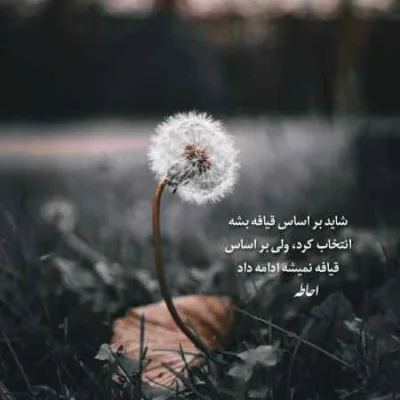 دانلود آهنگ  حیله گر شب تنهایی شبای منم فقیرایی علی احمدیانی