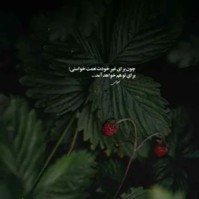 دانلود آهنگ  هیپهاپولوژیست جوز