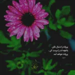 دانلود آهنگ منو بسپار به گذشته نکن انکار که منم باعث دردت هیدن