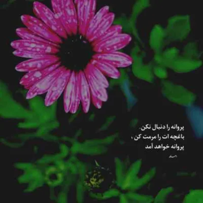 دانلود آهنگ منو بسپار به گذشته نکن انکار که منم باعث دردت هیدن