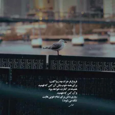 دانلود آهنگ همزبونیت قشنگه مهربونیت قشنگه