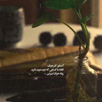 دانلود آهنگ میدونم دیوونم ولی شاید بودی نمیشد اینجوری حالم