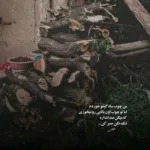 دانلود آهنگ محمدرضا گلزار شبیه همه