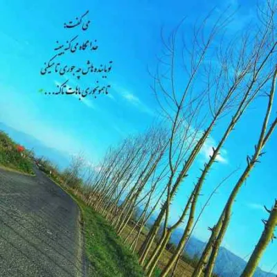 دانلود آهنگ آخرین پرنده ام گرم بال و پر زدن محسن چاوشی