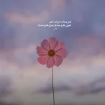 دانلود آهنگ اگه منو دیدی یک روز توخیابونای این شهر محسن یگانه دانلود آهنگ اگه منو دیدی یک روز توخیابونای این شهر محسن یگانه