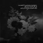 دانلود آهنگ ناز داره فاطمه نصرالله واحدی