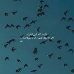 دانلود آهنگ رضا شیری کل هفته رو دانلود آهنگ رضا شیری کل هفته رو