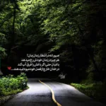 دانلود ریمیکس گل پرپر شایع ناجی علی سورنا و بهرام