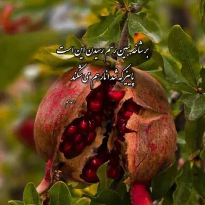 دانلود آهنگ تو عشقی تو دلمی تو ماه خوشگلمی هوش مصنوعی