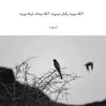 دانلود آهنگ الینه حلقه سالام قاداوی جانه آلام ابوذر شجاعی دانلود آهنگ الینه حلقه سالام قاداوی جانه آلام ابوذر شجاعی