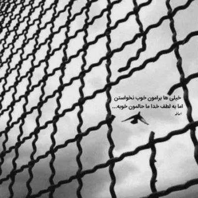 دانلود آهنگ  علی عبدالمالکی خوابتو دیدم هوش مصنوعی