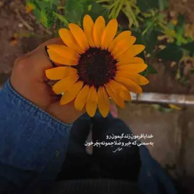 دانلود آهنگ سن سیز بن نیفس آلامام علی عبدالمالکی هوش مصنوعی