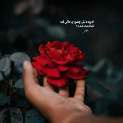 دانلود آهنگ  علی احمدیانی بنام شماره یک