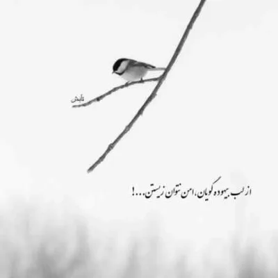 دانلود آهنگ هایده و علی زند وکیلی بنشین تماشایت کنم هوش مصنوعی
