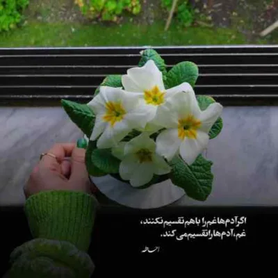دانلود آهنگ نگاهت چه می در سبو میکند علیرضا قربانی دانلود آهنگ نگاهت چه می در سبو میکند علیرضا قربانی