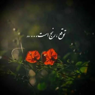 دانلود آهنگ یار بلا یار بلا بلای جون منی باقلوا تتلو