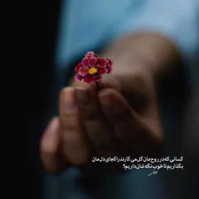 دانلود آهنگ  بریل ۲ مهراب آرمین زارعی پیشرو خلوت تتلو سورنا